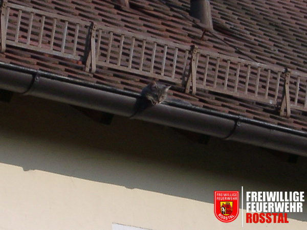 Bild 1 von 1 