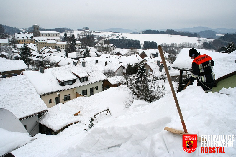 Bild 10 von 12 