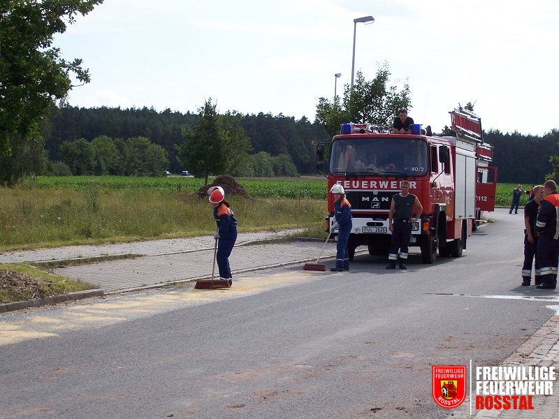 Bild 1 von 16 &Ouml;lspur (Wasser) wird mit &Ouml;lbindemittel (S&auml;gesp&auml;ne) abgebunden