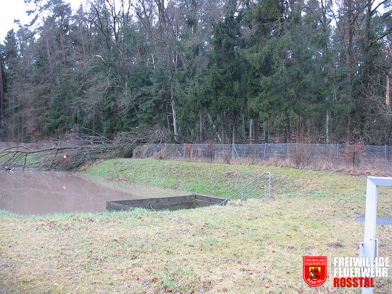 Bild 5 von 15 Dieser Baum fiel in ein Kl&auml;rbecken