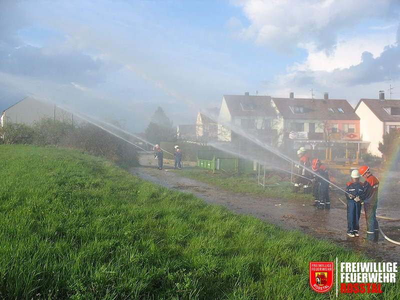 Bild 8 von 11 