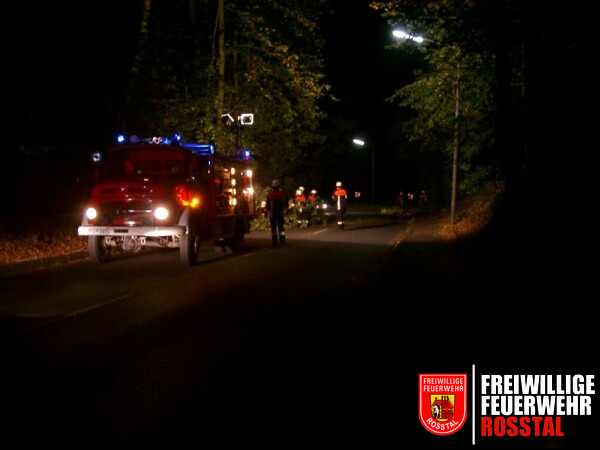Bild 2 von 5 