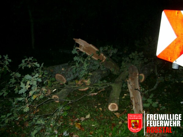 Bild 3 von 5 