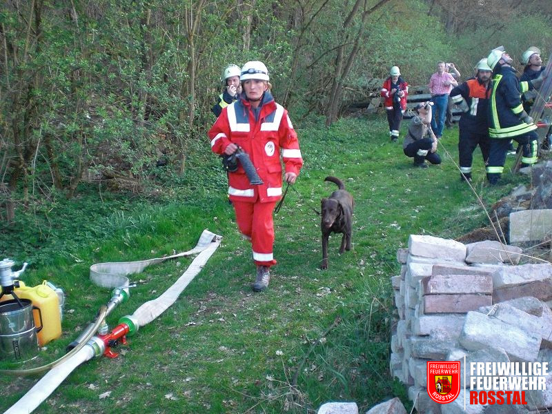 Bild 17 von 28 Die Hunde suchen weiter.