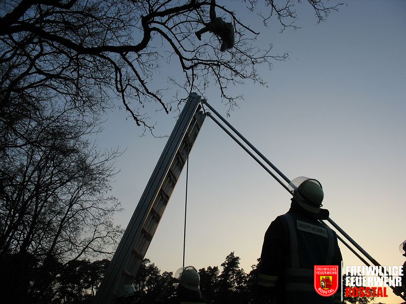 Bild 18 von 28 Ein Kind wurde in einen Baum geschleudert.