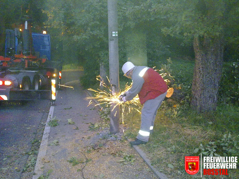 Bild 5 von 7 