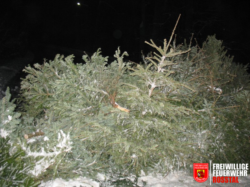 Bild 1 von 7 