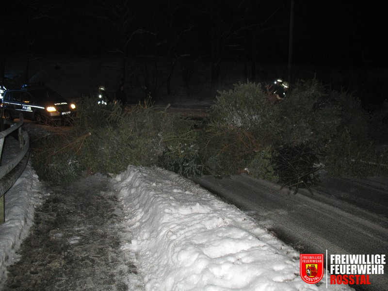 Bild 4 von 7 