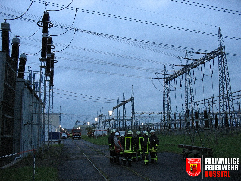 Bild 8 von 13 