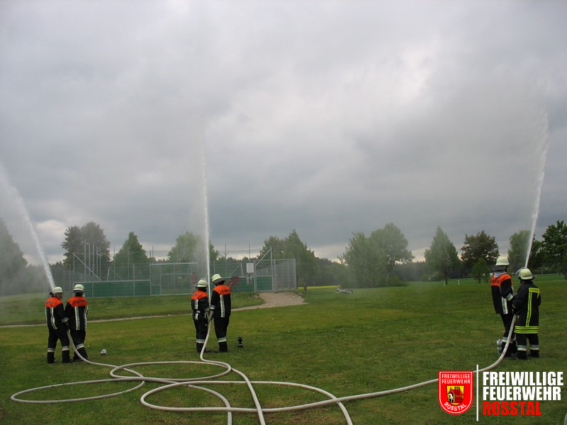 Bild 8 von 12 