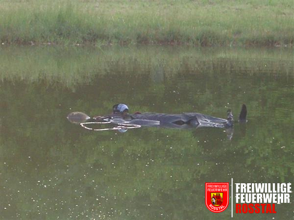 Bild 1 von 5 Leblose Person im Wasser