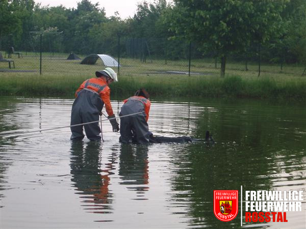 Bild 3 von 5 ... und das Opfer aus dem Wasser geholt.