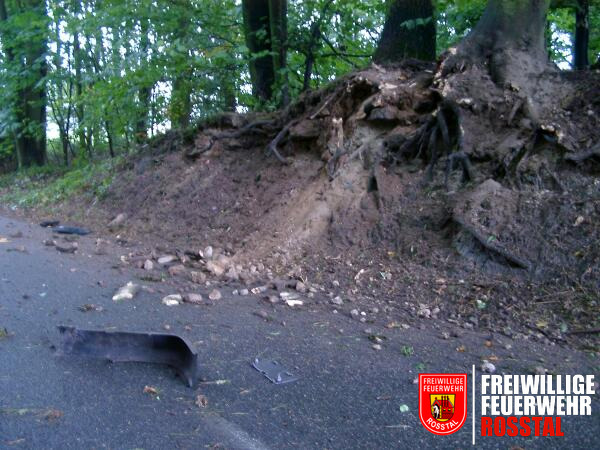 Bild 4 von 9 Etwa 100m weiter zur&uuml;ck schrammte das Fahrzeug an den Wurzeln dieses Baumes vorbei und &uuml;berschlug sich.