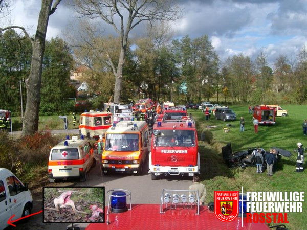 Bild 9 von 9 In der Bildmitte ist der Bus zu sehen, der gegen den Baum geprallt ist. Ganz rechts der PKW mit weggeschnittenem Dach. Bei genauer Betrachtung sieht man unten links die Delle im Fahrzeug des BRKs die das Reh verursacht hat.