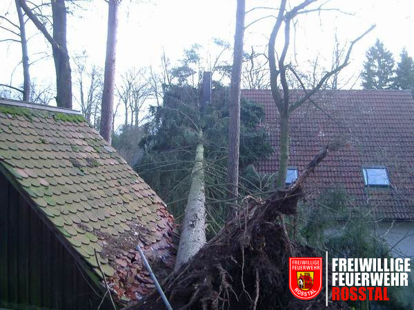 Bild 1 von 1 