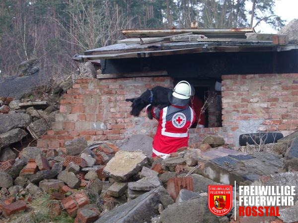 Bild 2 von 25 Ein Hund der Rettungshundestaffel hat bereits eine versch&uuml;ttete Person gefunden.