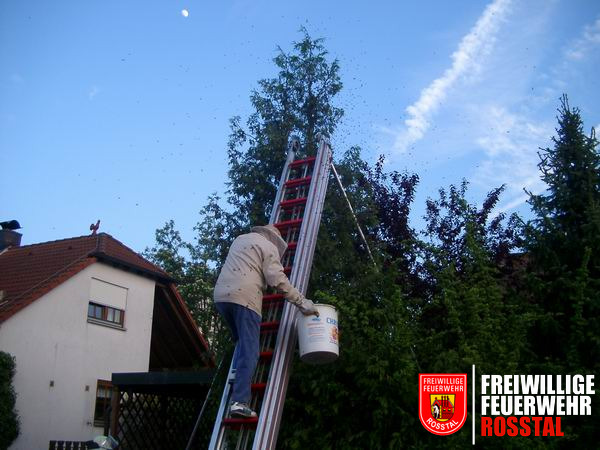 Bild 2 von 2 