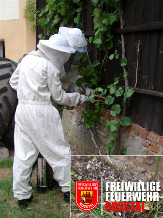 Bild 5 von 19 3. Einsatz: Insektenbseitigung - Ein (echtes) Wespennest musste beseitigt werden. 