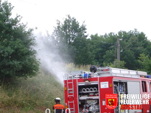 Bild 6 von 19 4. Einsatz: Bahndammbrand - Mit Monitor (Wasserwerfer auf dem Dach) und Schnellangriff wird der Bahndamm bew&auml;ssert. (Auf dem Bild ist der Nebel vom Strahrohr zu sehen)