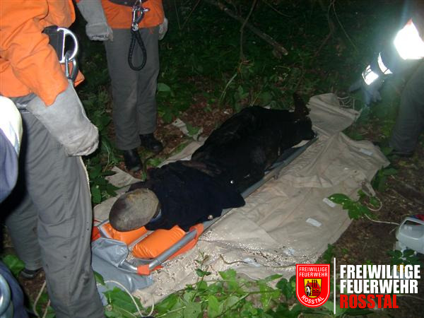 Bild 14 von 19 Die Person wurde in die Bergwachttrage gebunden.