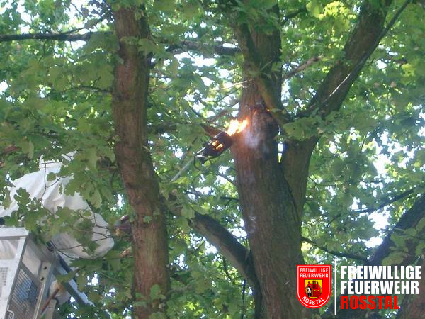 Bild 1 von 4 
