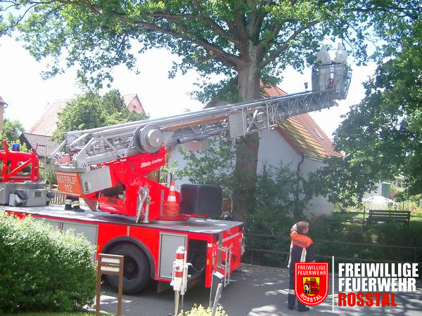 Bild 2 von 4 