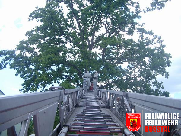 Bild 4 von 4 