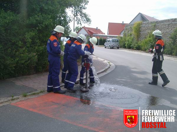 Bild 2 von 16 