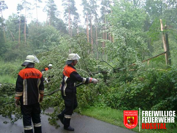 Bild 1 von 1 