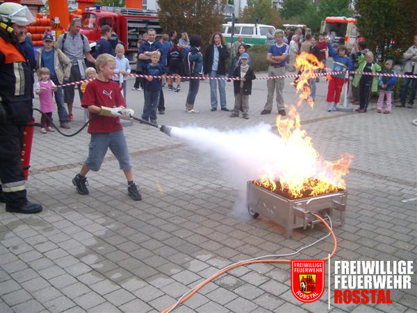 Bild 4 von 15 Alle haben das Feuer ausbekommen