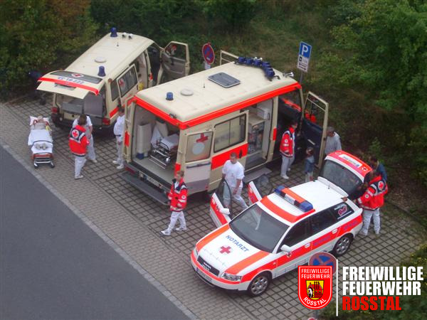 Bild 6 von 15 Die BRK Bereitschaft Ro&szlig;tal mit ihrem Krankenwagen (links) sowie ein Rettungswagen und ein Notarztfahrzeug des BRK Kreisverbands F&uuml;rth.
