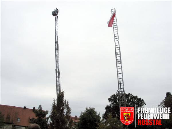 Bild 15 von 15 