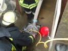 Die Schmutzwasserpumpe 