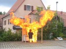 Fettexplosion - Die Küche wurde uns freundlicherw...
  