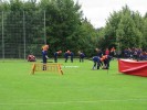 Jugendfeuerwehr Tuchenbach: Vorführung des Bundes...
  