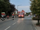 Bild: M. Rösel
  