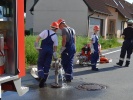 Vorschaubild des Berichts